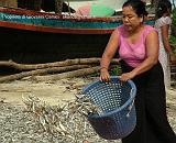 CHAUNG THA BEACH  11